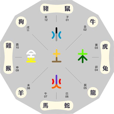 生肖 五行屬性|十二生肖五行屬性對照表